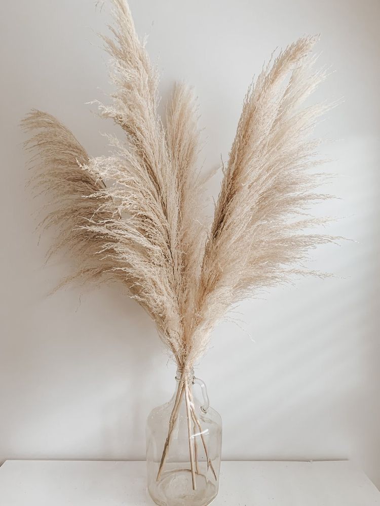 PAMPAS DECORATIVAS BRISA