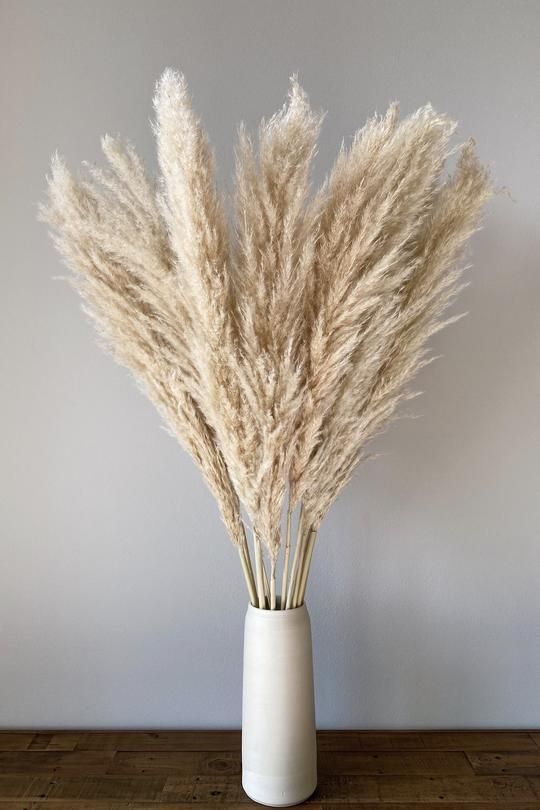 PAMPAS DECORATIVAS BRISA